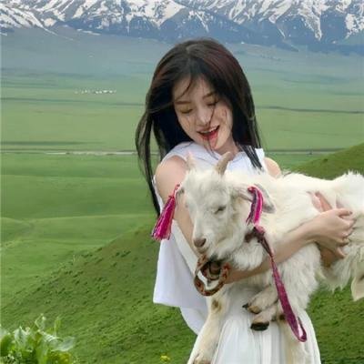 爱,死亡和机器人第四季